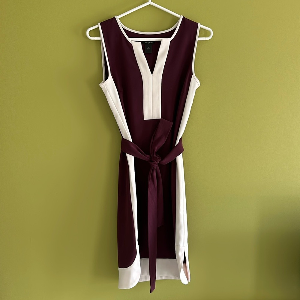 Ann Taylor eggplant/cream dress with tie belt.